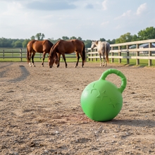 VOSS.farming Pferdespielball, Pferdespielzeug, Ø 26cm, grün VOSS.farming Pferdespielball, Pferdespielzeug, Ø 26cm, grün