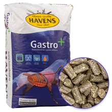 HAVENS "Gastro+", Pellets für Pferde mit Magenproblemen & Stress, 20kg