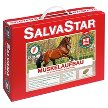 Salvana SalvaStar Muskelaufbau 5kg - Ergänzungsfutter-Riegel für Pferde