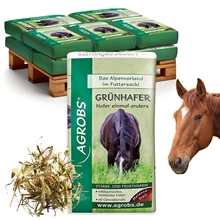 Agrobs Grünhafer 12x15kg - strukturreiches Raufutter aus der grünen Haferpflanze
