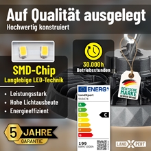 Werbegrafik für 2x LandXpert 200 W LED-Hallenstrahler, dimmbar. Highlights: Deutsche Marke, SMD-Chip-Technologie, 30.000 Stunden Lebensdauer, hohe Lichtausbeute (30.500 lm), höchste Energieeffizienz (Klasse C, 199 kWh/1.000 h), Tageslichtweiß (5.000 K), Schutzart IP65. Mit einem 5-Jahres-Garantie-Logo sowie Abbildungen der LEDs und des Produkts.