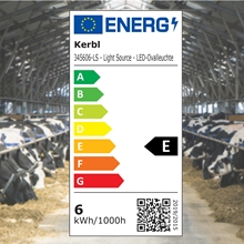 LED Ovalleuchte 5,5W 16,9x11,5x7,6cm, 450lm, 6500K, Kellerleuchte, Garagenleuchte, IP54