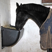 Heuraufe Slow Feeder 140 Liter mit Fressgitter, Wandraufe für Pferde