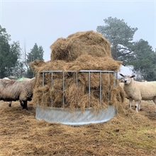 VOSS.farming Rundraufe für Schafe mit 24 Fressplätzen, Ø 160cm