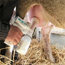 Melkpumpe Komplettset für Schafe