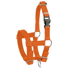 Alpaka-Halfter verstellbar, orange