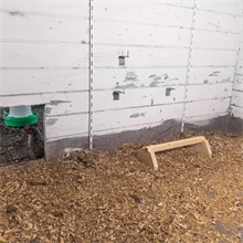 VOSS.farming Hühner-Sitzstange zum Aufstellen, für Stall und Freilaufgehege