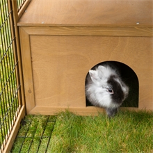 Freilaufgehege für Kaninchen, Nager, Hühner und Kleintiere, 220 x 115 x 75cm