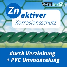 VOSS.farming Hühner Freilaufgehege 170x300x195cm, Hühnerstall, Voliere