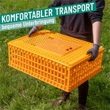 Geflügel Transportkiste, 74x55x30cm, VOSS.farming, Transportbox, extra robust