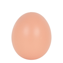 25x OLBA Plastik-Ei für Legehühner, 48mm, braun