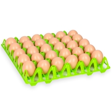 Eier Aufbewahrung, 30 Hühnereier, Kunststoff Eierschale, grün