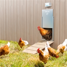 B-Ware: VOSS.farming automatische Hühnerklappe, Hühnertür, Poultry Kit