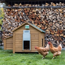 VOSS.farming automatische Hühnerklappe "Chicken-Door Basic", elektrische Hühnertür