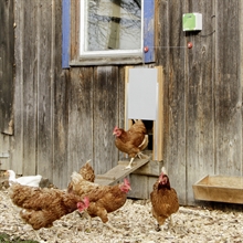 Hühnerhaus Hühnerstall Automatik Türöffner Toröffner mit Fernsteuerung 