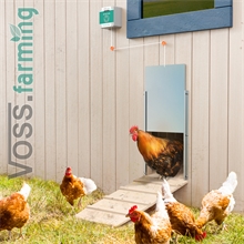 SET VOSS.farming Chicken-Door + Hühnerklappe, Alu 300 x 400mm + Solar-Akku