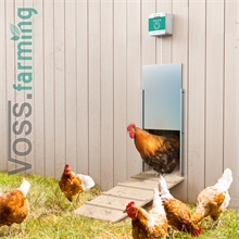 SET VOSS.farming Chicken-Door + Hühnerklappe, Alu 300 x 400mm