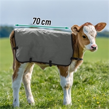 Kälberdecke 70cm, grau – Thermodecke für junge Kälber als Kälteschutz