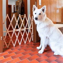 B-Ware: Ziehharmonika Hunde Absperrgitter "PressFix", Türgitter für Hunde, ausziehbar ca. 65-104cm