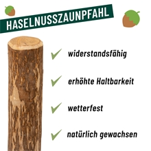3x VOSS.garden Haselnuss-Zaunpfahl naturbelassen, entrindet, Holzpfahl, 100cm, Ø 6-10cm