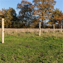 70x VOSS.farming Akazien-Pfähle naturbelassen, entrindet, Holzpfahl, 200cm, Ø 10-12cm