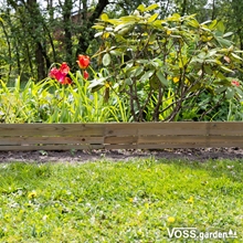 Die VOSS.garden Steckzaun 75x18cm Holzeinfassung mit Metallpfosten ist ideal als Rasenkante oder Beeteinfassung, ideal für sonnige Gärten mit Grünpflanzen und Tulpen.