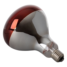 Infrarotlampe 250 Watt, Hartglas - Infrarotbirne, Infrarot Glühbirne, rot