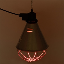 Infrarot-Sparlampe PAR 38, 175 Watt - Infrarot Energiesparlampe, Infrarot Sparbirne, rot