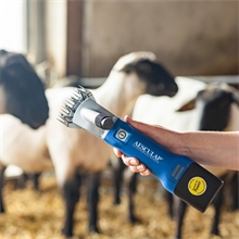 Schermaschine Econom Nova für Schafe und Rinder, 230V, Akku