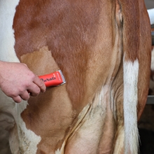 Aesculap "Durati" Schermaschine mit Akku für Pferd & Pony