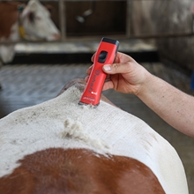 Aesculap Akku-Schermaschine "Durati" für Pferd & Pony, mit 2x Akku