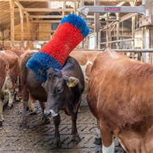 Viehbürste HAPPYCOW „Free Maxi“ - pendelnde Bürste für Fellpflege, Innen- und Außenbereich