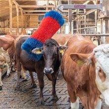 Viehbürste HAPPYCOW „Free Maxi“ - pendelnde Bürste für Fellpflege, Innen- und Außenbereich