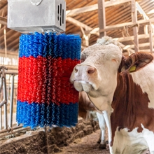 Kuhputzmaschine HAPPYCOW „MidiSwing“ - effiziente Fellpflege für Rinder, vertikal pendelnde Bürste
