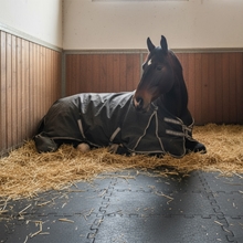 17x VOSS.farming Stallmatte-18 m² Puzzlematte 120×90cm, 18mm - robuste Boxenmatte
