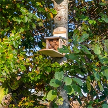 B-Ware: VOSS.garden Eichhörnchen Futterstation "Lunne"