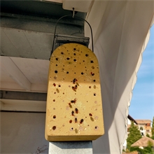 Schwegler Insektennistblock, Insektennisthilfe aus atmungsaktivem Holzbeton