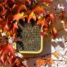 Schwegler Insektennistschilf, Insektennisthilfe für Wildbienen und Schlupfwespen