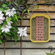 Schwegler Insektennistwand, Insektennisthilfe aus Holzbeton mit Lehm und Schilf