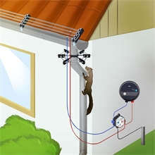 Komplettsystem Zur Marderabwehr Mit 2er Isolatoren