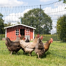 VOSS.farming farmNET 25m Hühnerzaun, Geflügelnetz, 112cm, 9 Pfähle, 2 Spitzen, grün