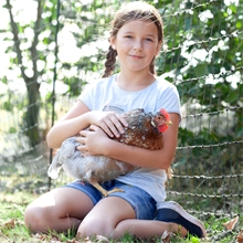 VOSS.farming farmNET 15m Hühnerzaun, Geflügelnetz, 112cm, 6 Pfähle, 2 Spitzen, grün