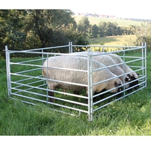 4x Steckfix-Horde für Schafe, 2,75 m x 0,92 m, verzinkt