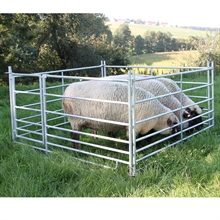 Steckfix-Horden-SET für Schafe mit Tor, 2,75 m x 0,92 m, verzinkt