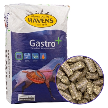 Eine Packung HAVENS Gastro+, Pellets mit Natriumbicarbonat für Pferde, auf der ein Schema des Pferdemagens abgebildet ist sowie eine kreisförmige Einblendung, die die braunen, zylindrischen Pellets zeigt.