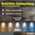 Infografik zur Vorstellung des LandXpert 100W LED-Hallen-Strahlers (4x, 12.000 lm, 5.000 K Tageslichtweiß, IP65) für den Einsatz bei Tieren, Menschen und am Arbeitsplatz. Hervorhebung der Vorteile: Fördert präzises Arbeiten und unterstützt das Tierwohl. Fünf Wandleuchten zeigen verschiedene Farbtemperaturen: 3.000 K (warm), 4.000 K, 5.000 K (neutrales Tageslicht), 6.000 K und 7.000 K (kalt). Darunter ist das LandXpert-Logo abgebildet.
