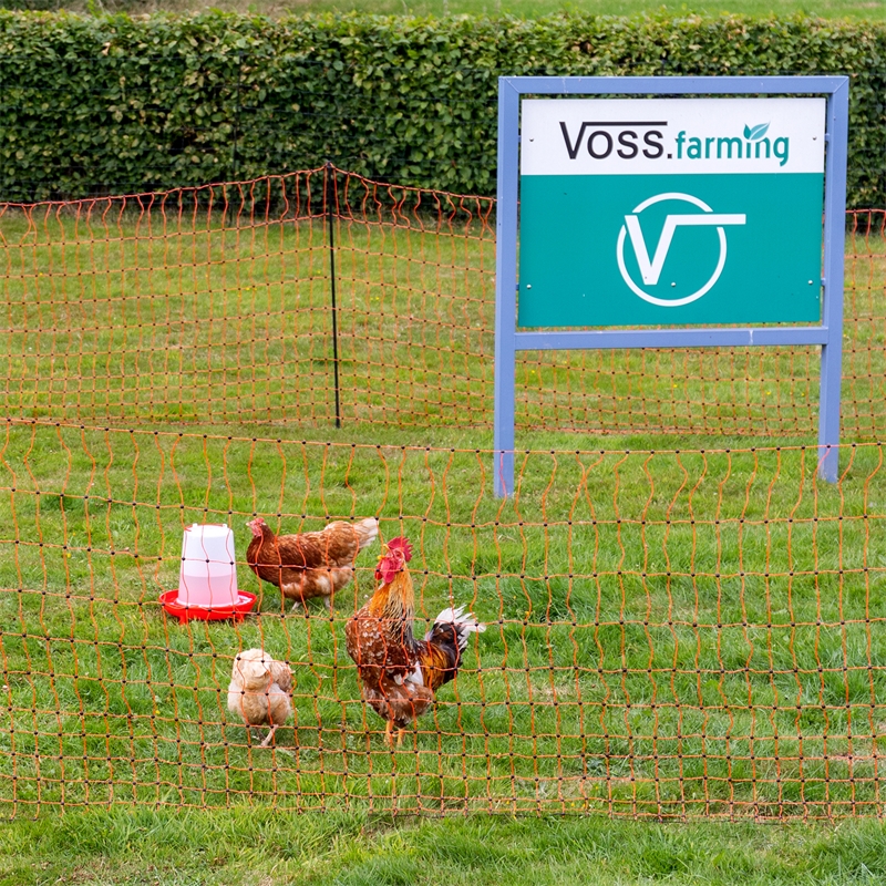 VOSS.farming 50m Geflügelnetz Hundenetz Classic 112 cm Netzhöhe Katzennetz Weidezaun Gartensicherung 