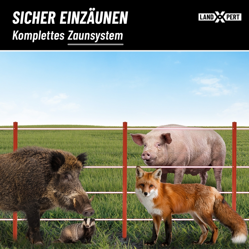 Großansicht der Bildergalerie Ein roter LandXpert-Zaun aus Winkelstahlpfählen (115 cm, 2 mm, rot) auf einer Wiese mit einem Wildschwein, einem Dachs, einem Schwein und einem Fuchs, oben mit den Aufschriften SICHER EINZÄUNEN und Komplettes Zaunsystem.