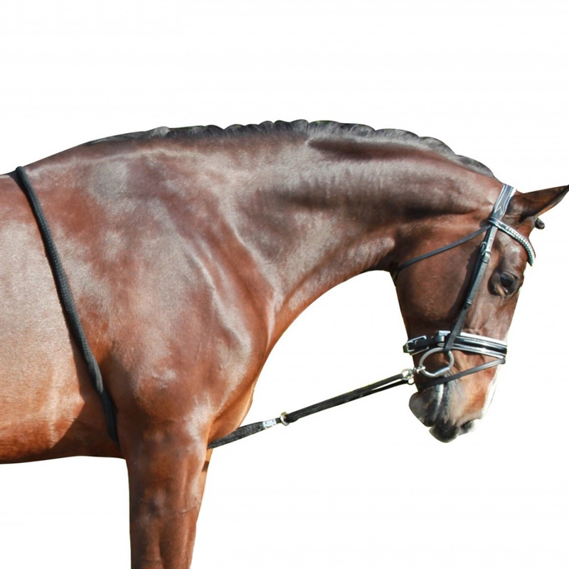 PFIFF Leder Longierhilfe für Pferde Longieren Longierbrille 