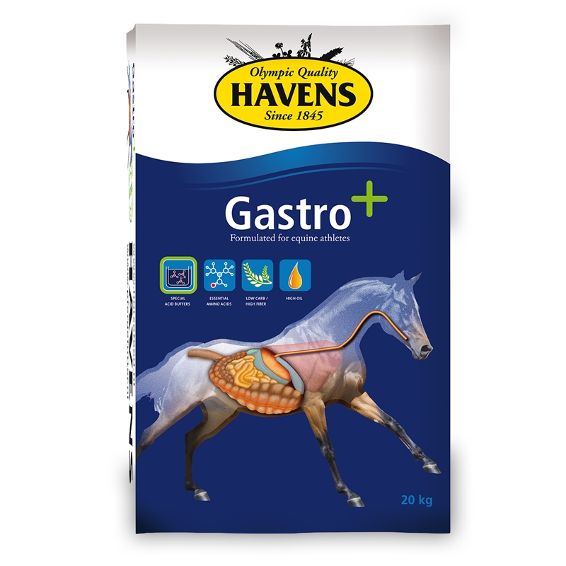 Großansicht der Bildergalerie HAVENS Gastro+ 40x20kg, Pellets mit Natriumbicarbonat für Pferde